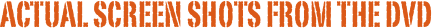 actual screen shots from the DVD